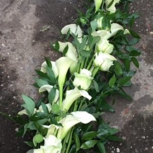 bloemen roels